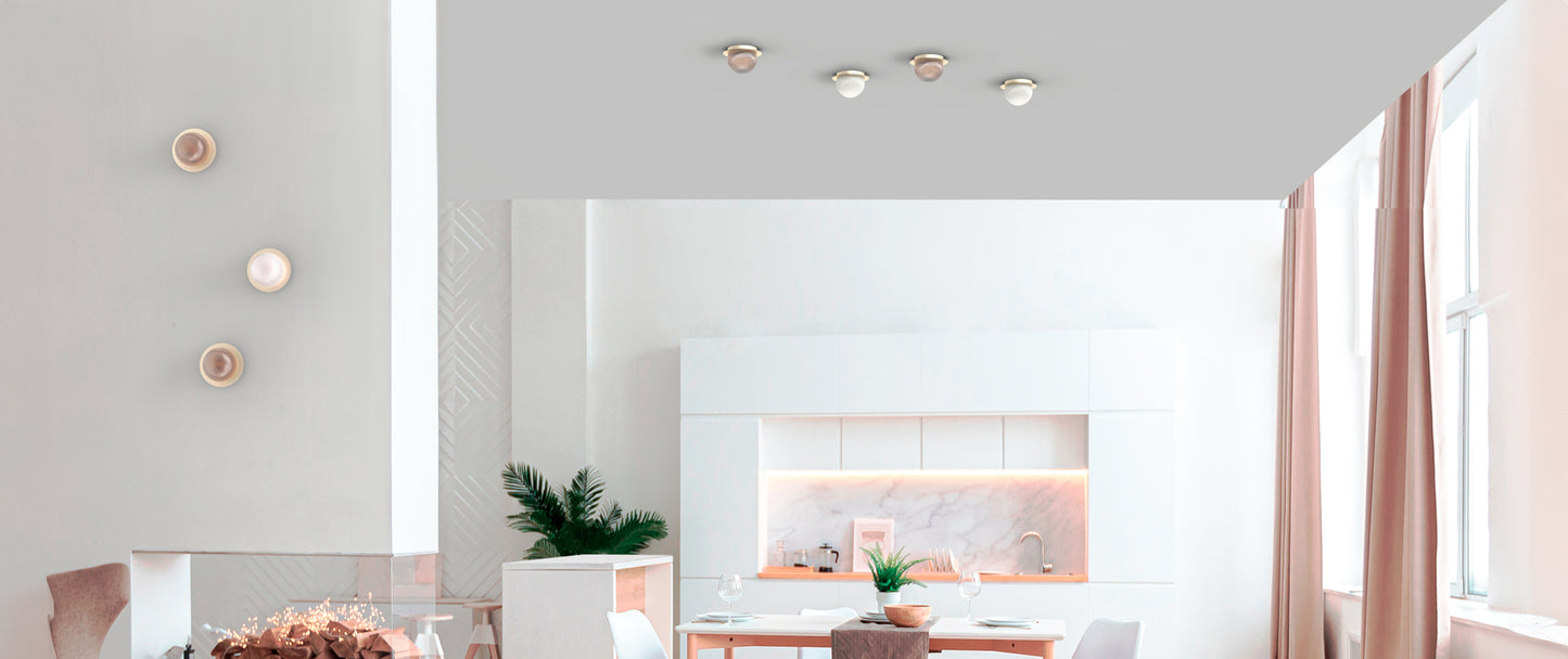Roi Ceiling