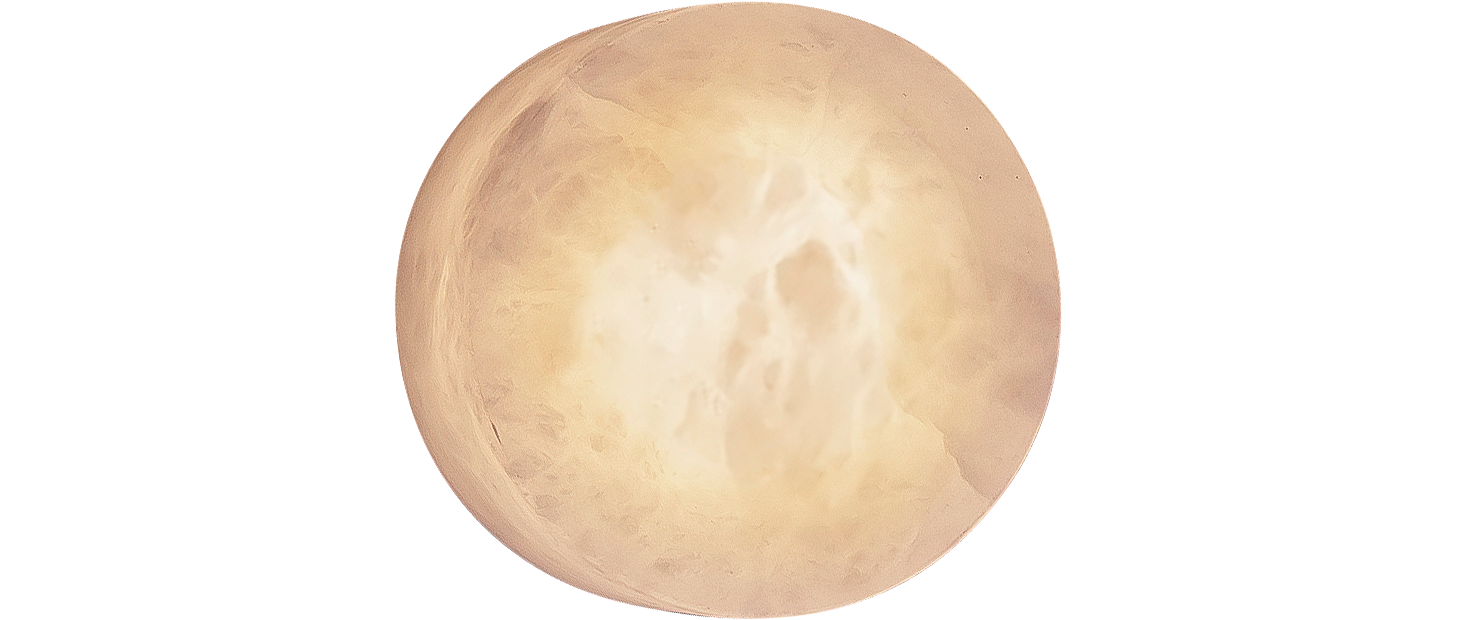 Rock Wall Variant Image 01544