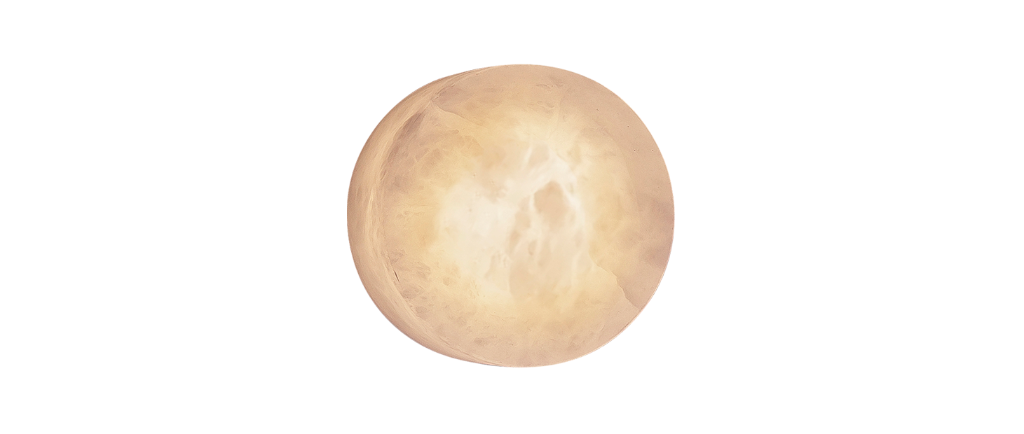 Rock Wall Variant Image 02480 Robin