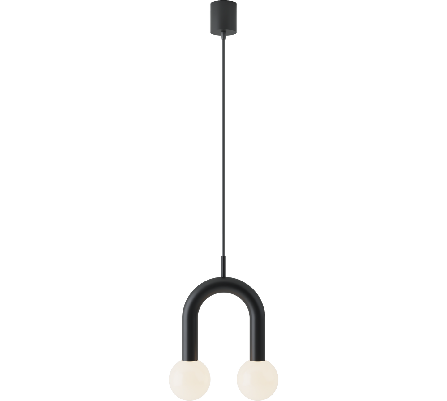 Rigoberta Super-Curved Black Pendant Metal Glass Lamp - Robin Lamps